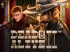 Oyun alanı çiti ahşap. Book of dead online casino.90